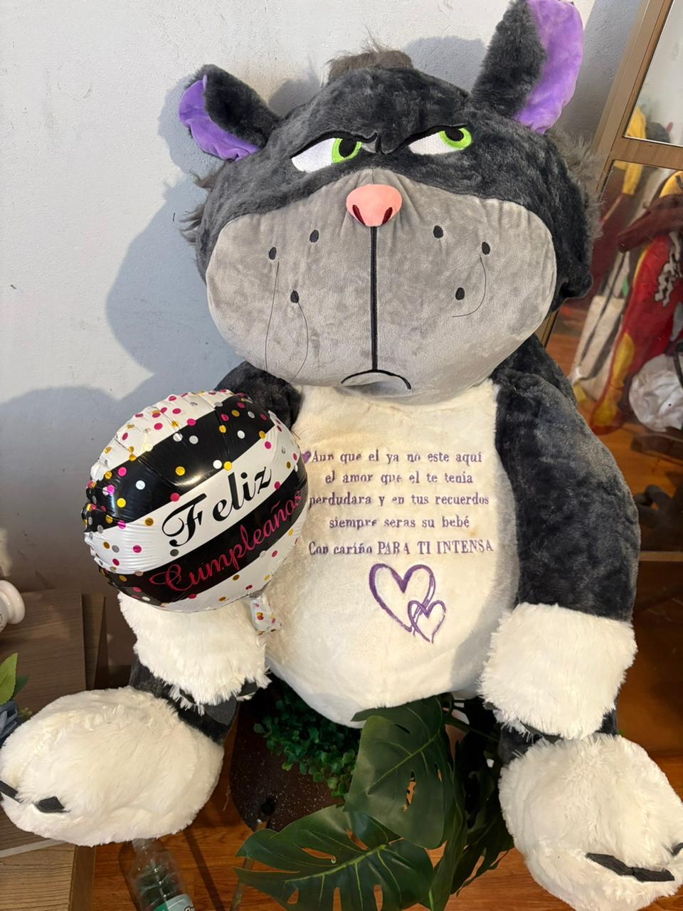 Gato Chico